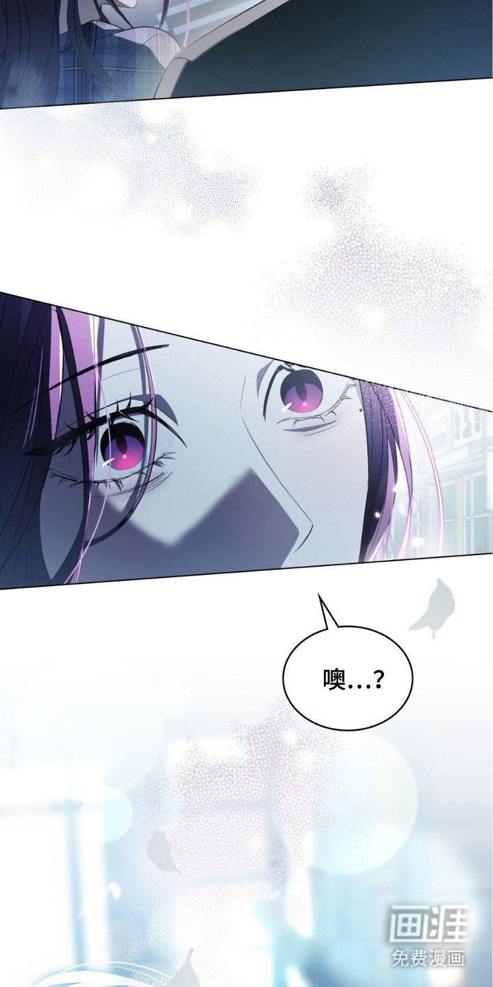 第19章：再次见面