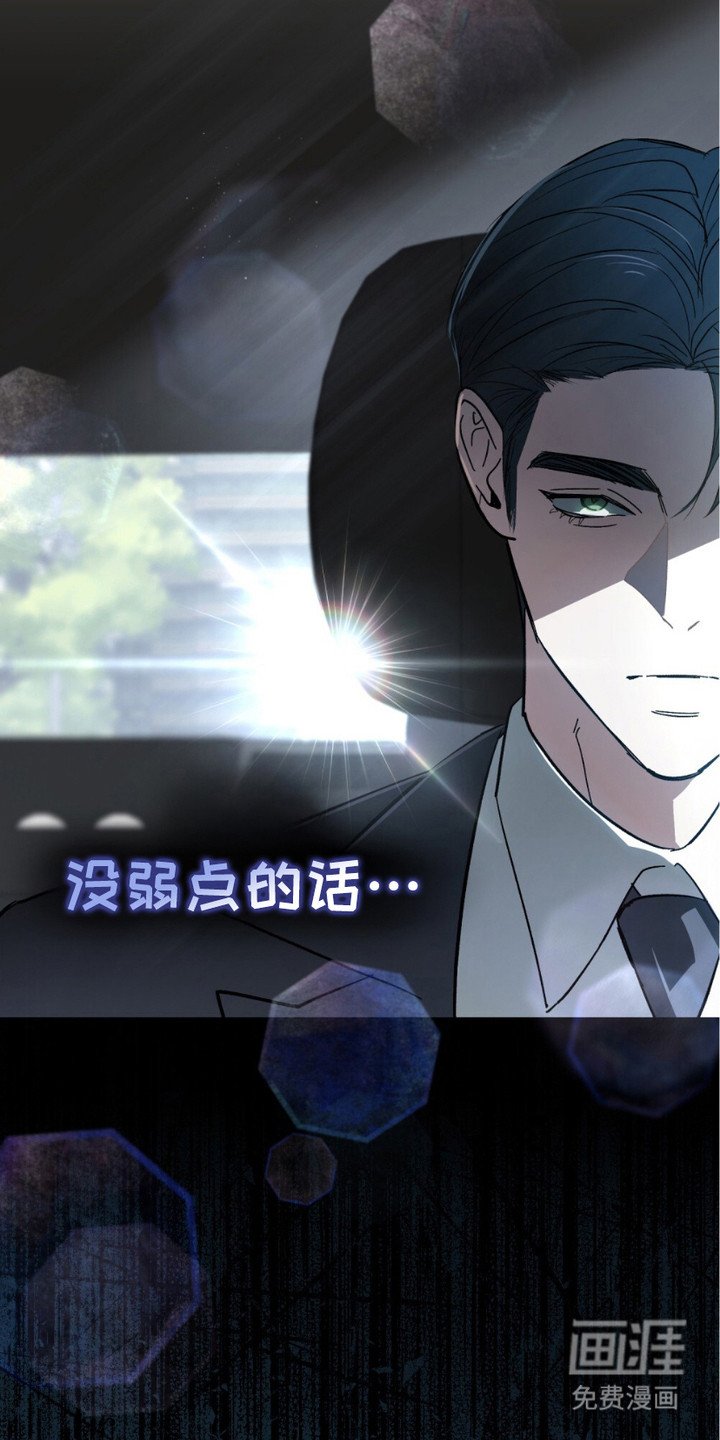 第5章：没有弱点