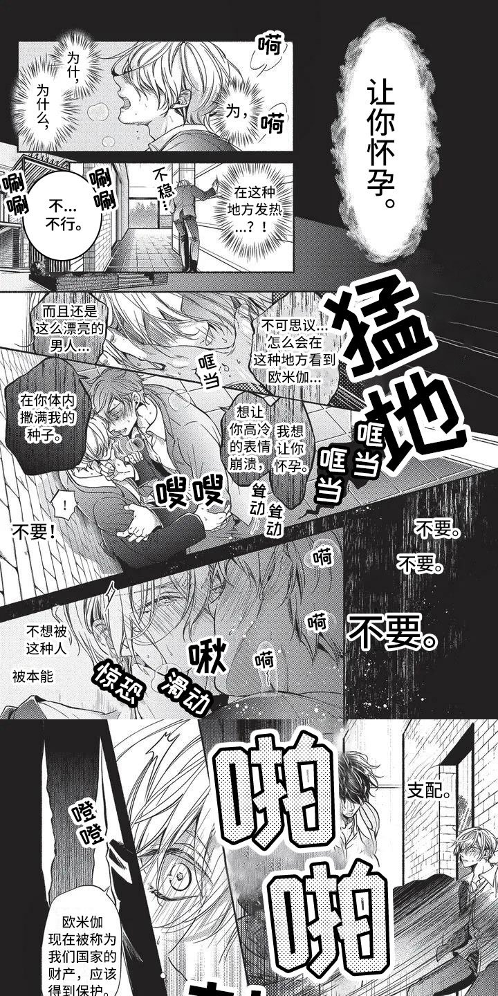 第1章：命运的伴侣