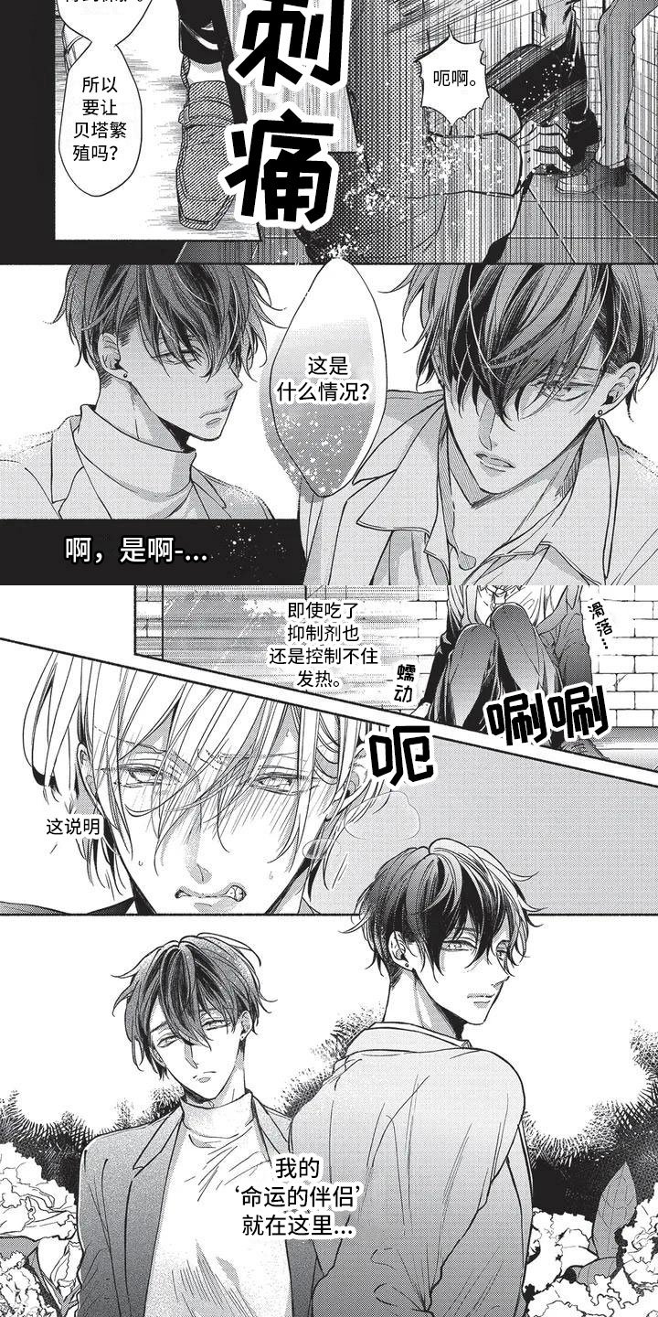 第1章：命运的伴侣