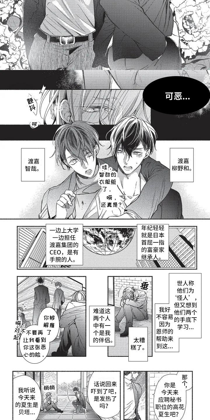 第1章：命运的伴侣