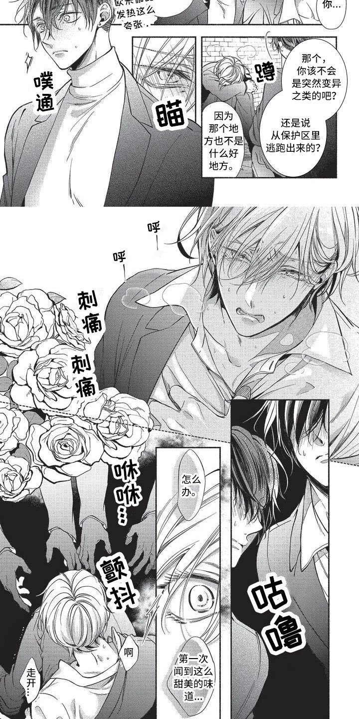 第1章：命运的伴侣