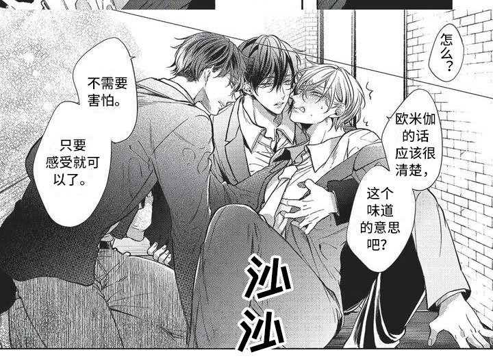 第1章：命运的伴侣