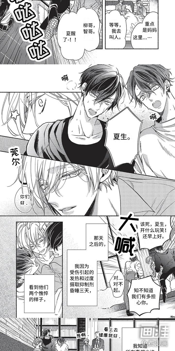 第21章：尘埃落定