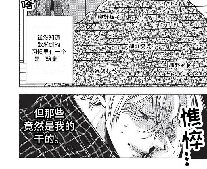 第24章：筑巢