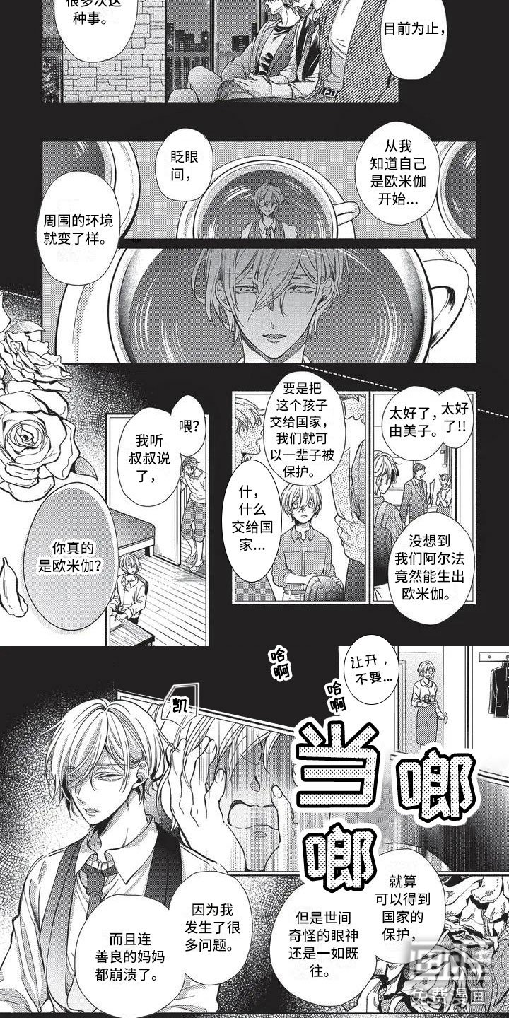 第6章：隐瞒原因