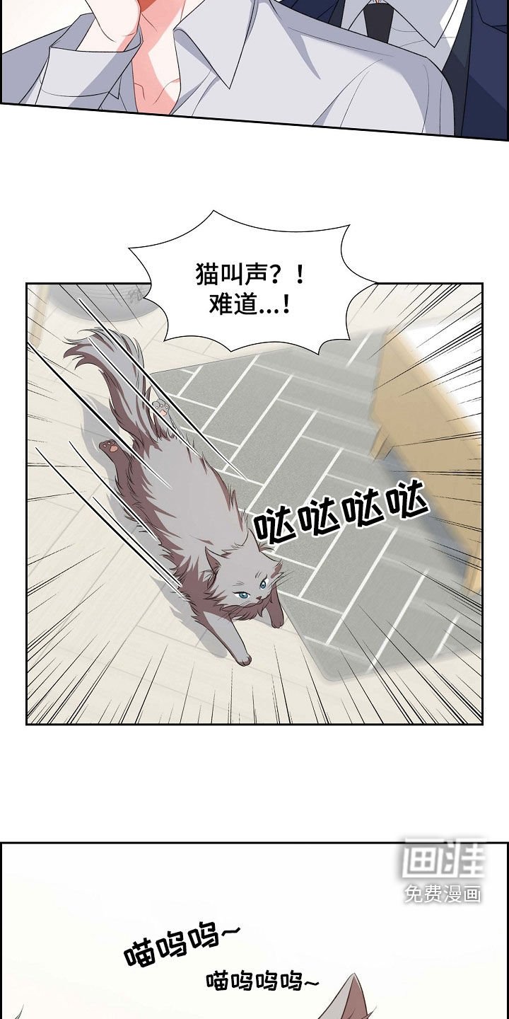 第100章：喝杯酒吧