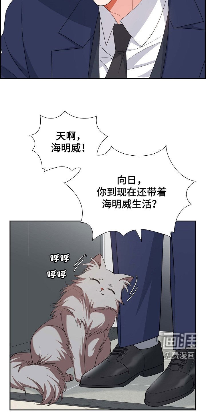 第100章：喝杯酒吧