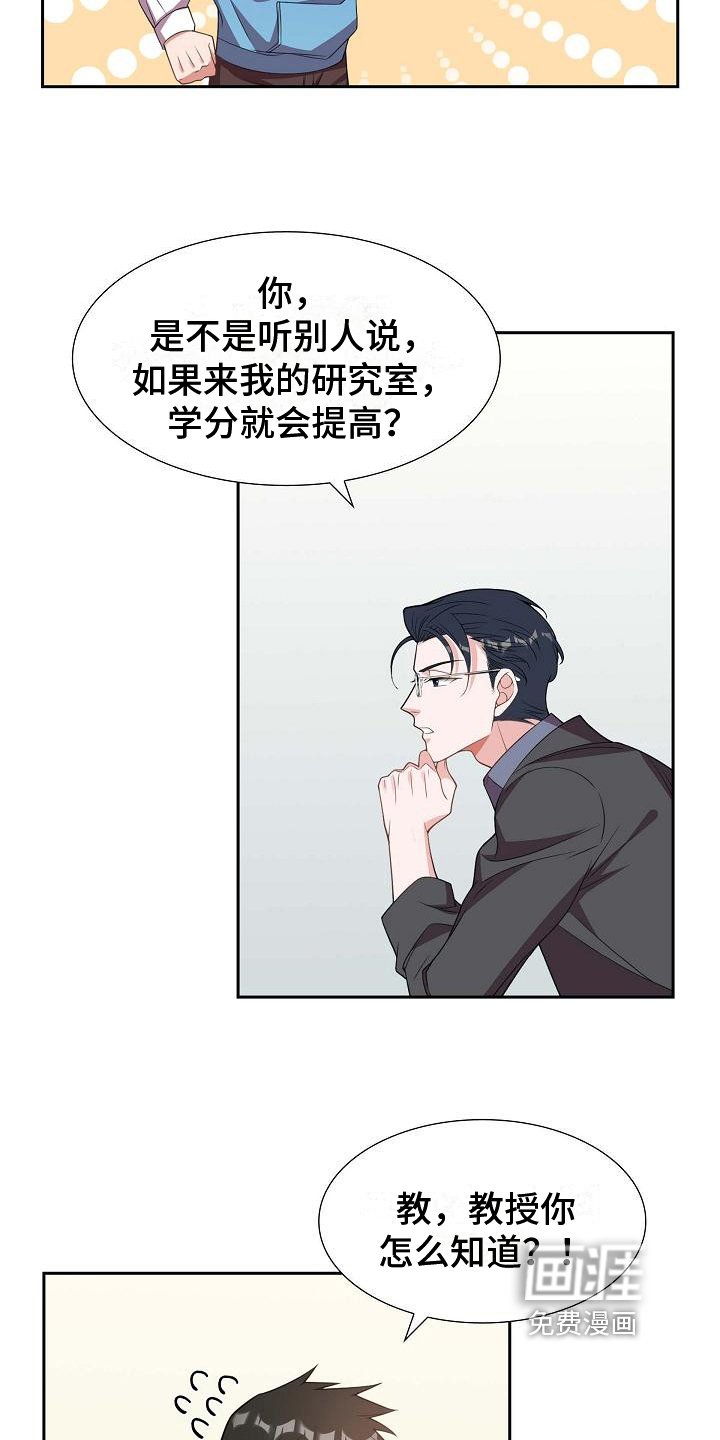 第12章：愚蠢