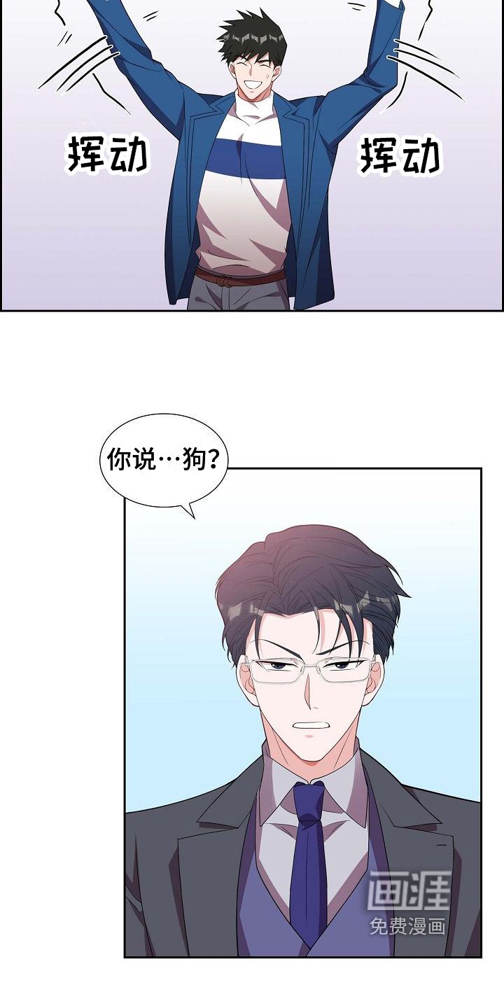 第15章：问答
