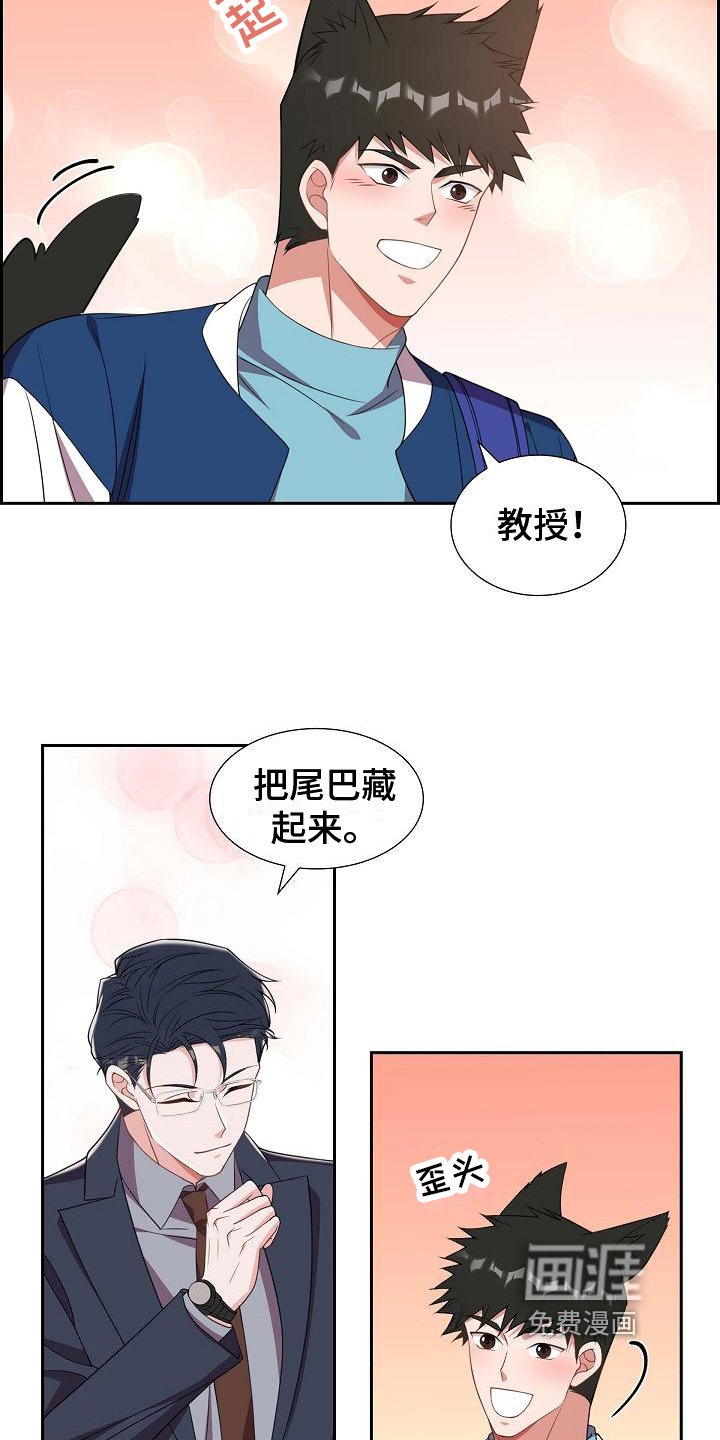 第31章：约定