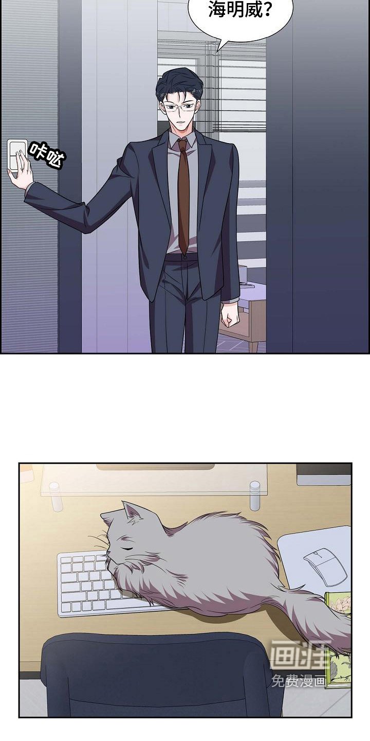 第37章：深刻记忆