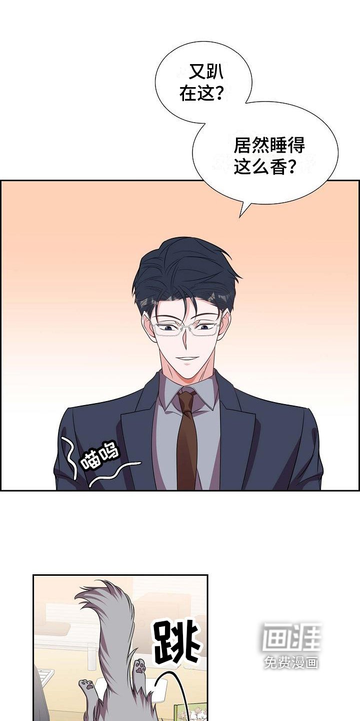 第37章：深刻记忆
