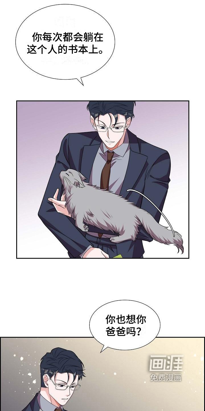第37章：深刻记忆