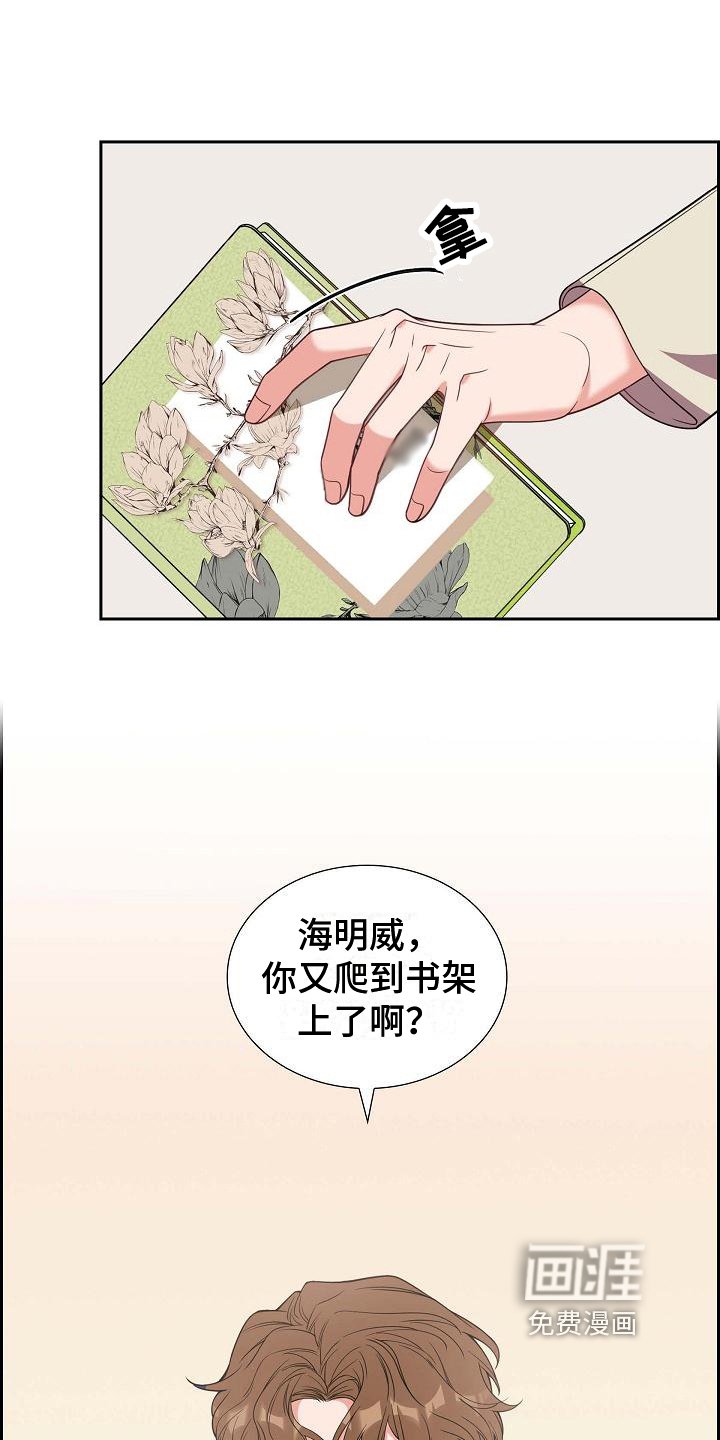 第37章：深刻记忆