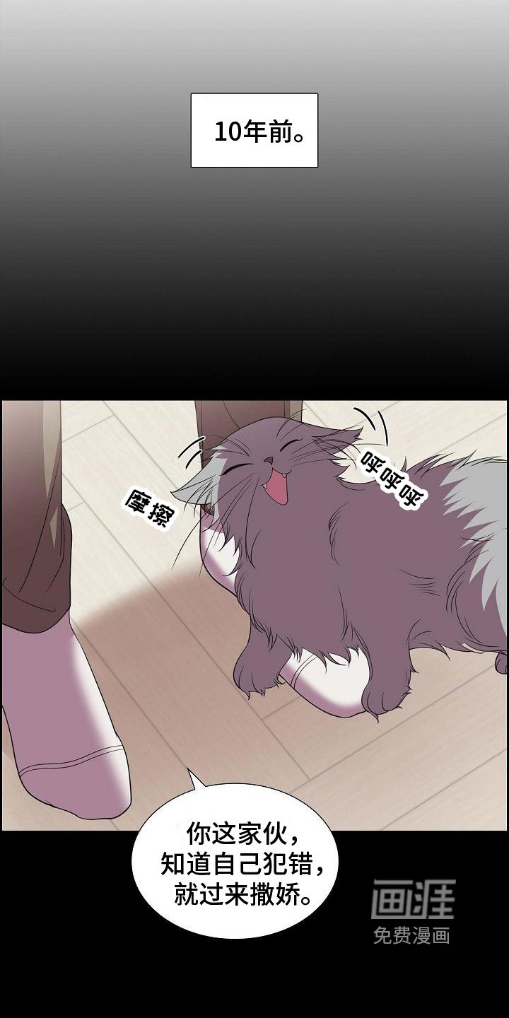 第38章：养猫