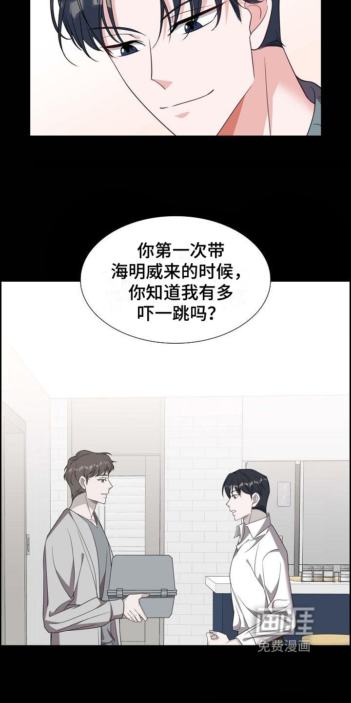第38章：养猫