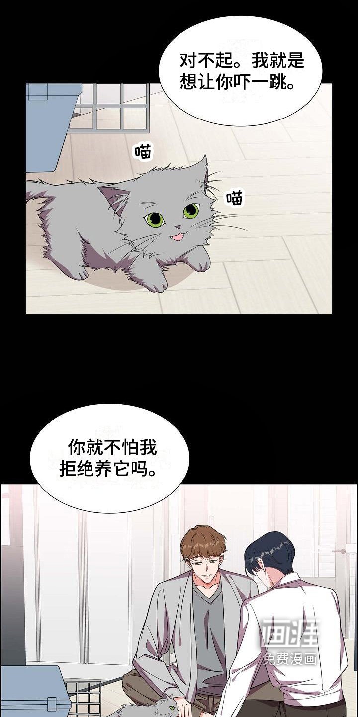 第38章：养猫