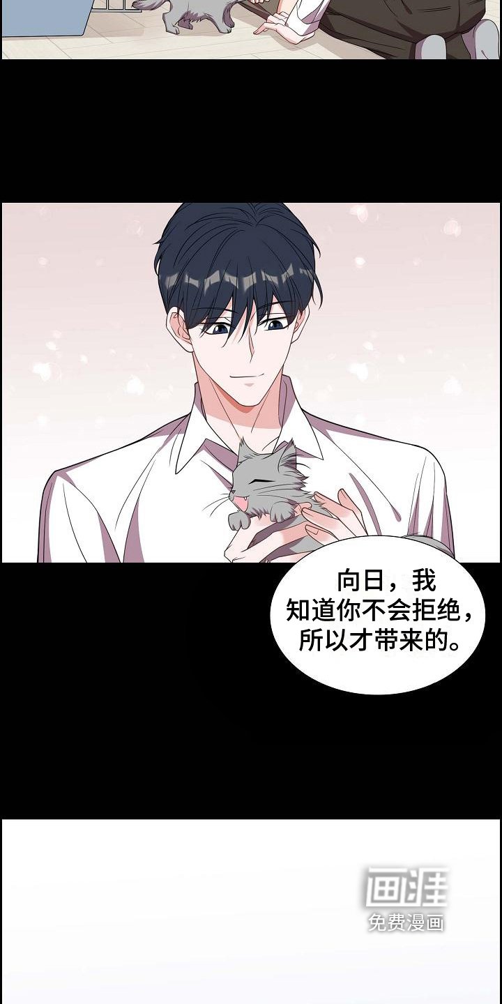第38章：养猫