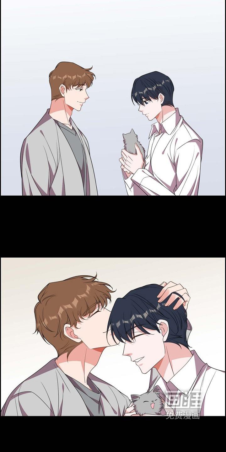 第38章：养猫