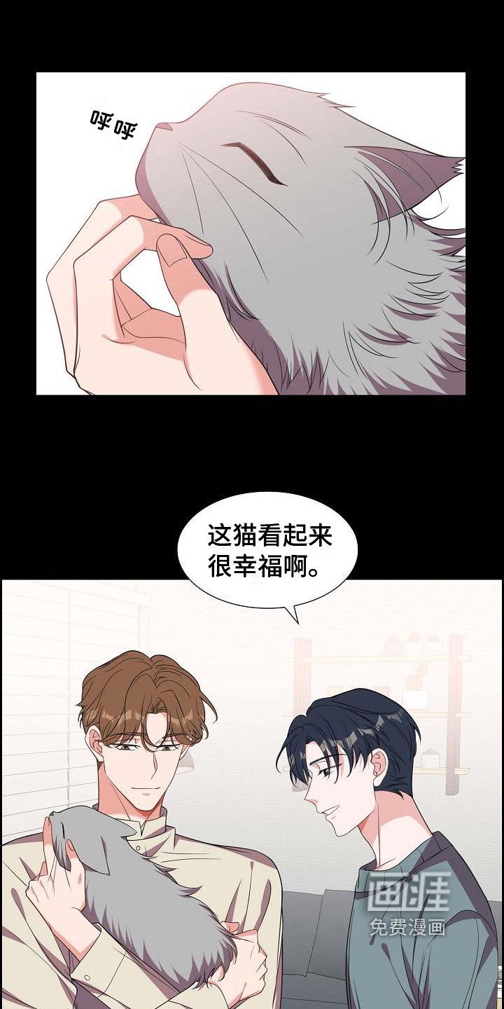 第38章：养猫