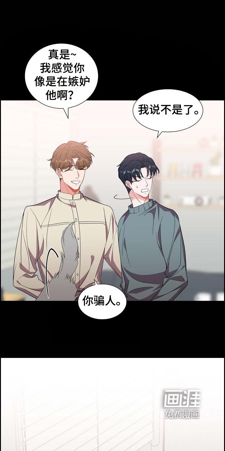 第38章：养猫