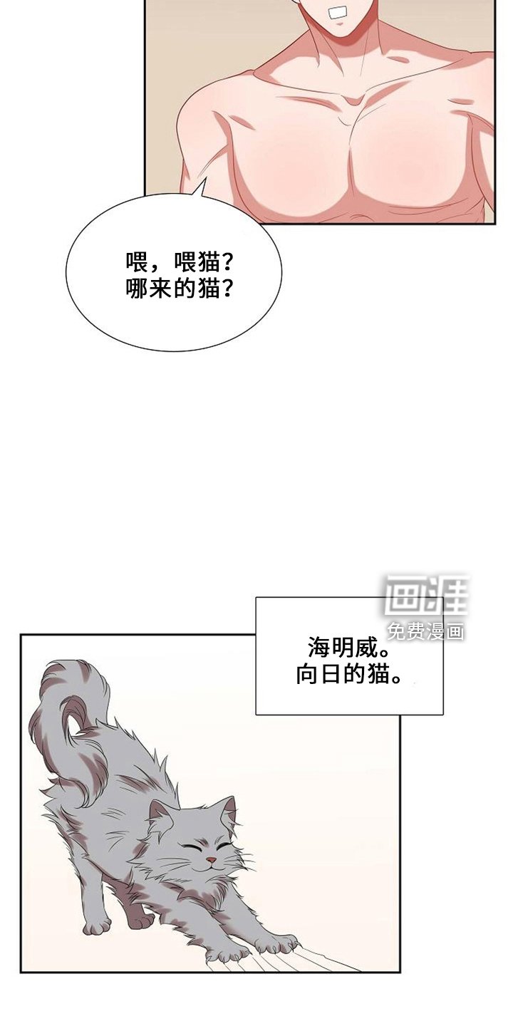 第48章：喂猫