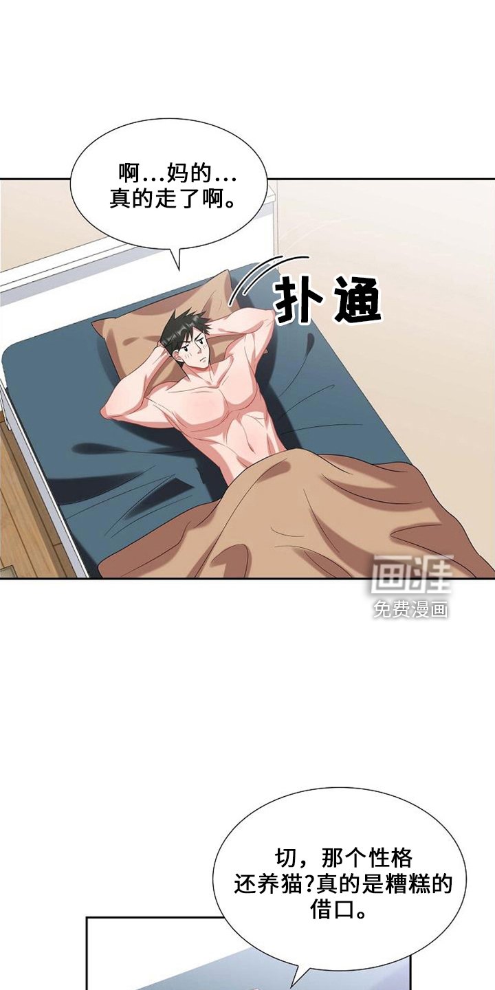 第48章：喂猫