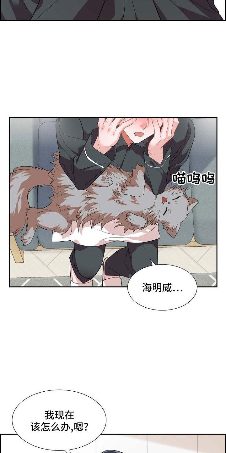第58章：想你了