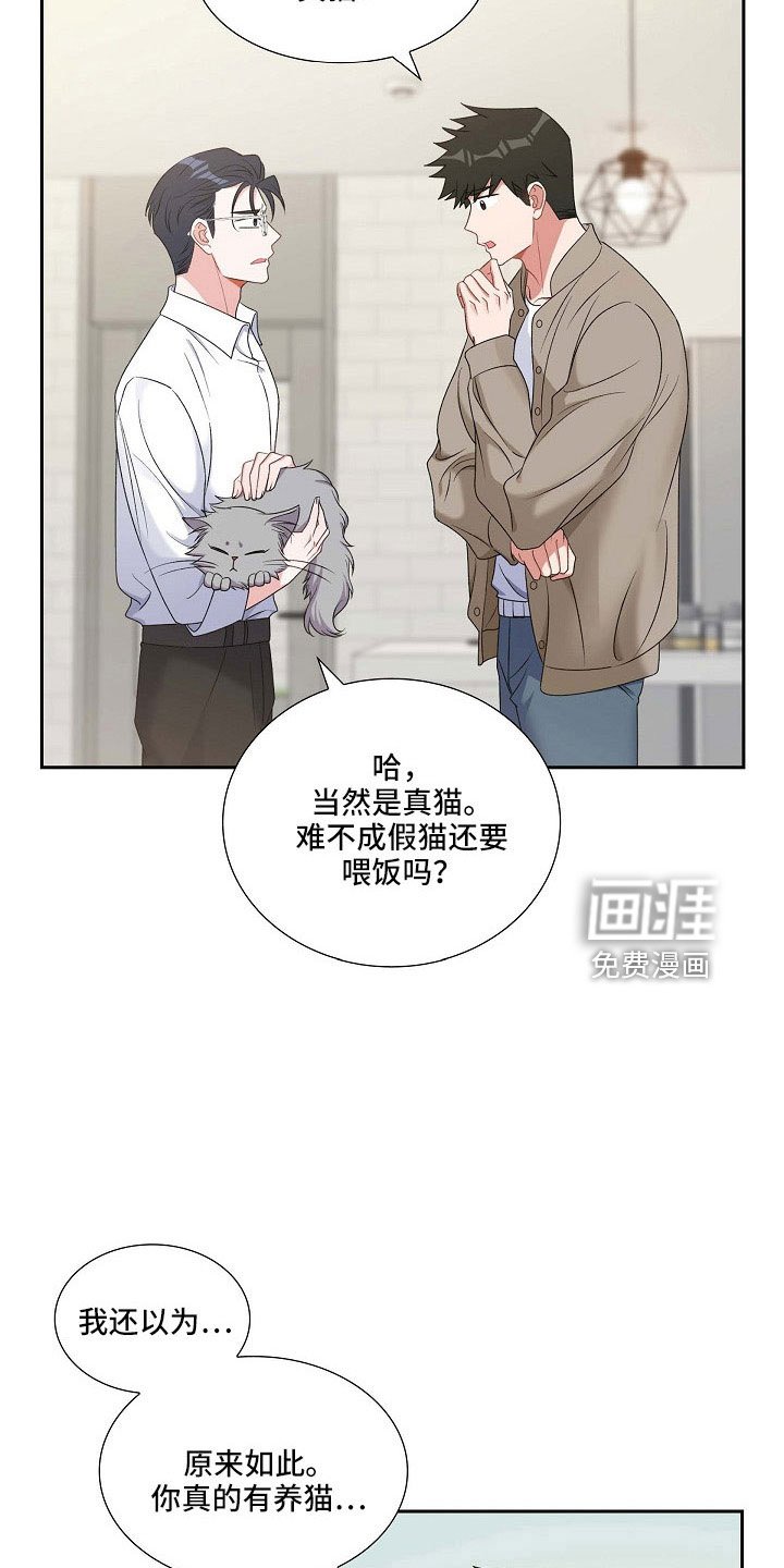 第63章：他的书