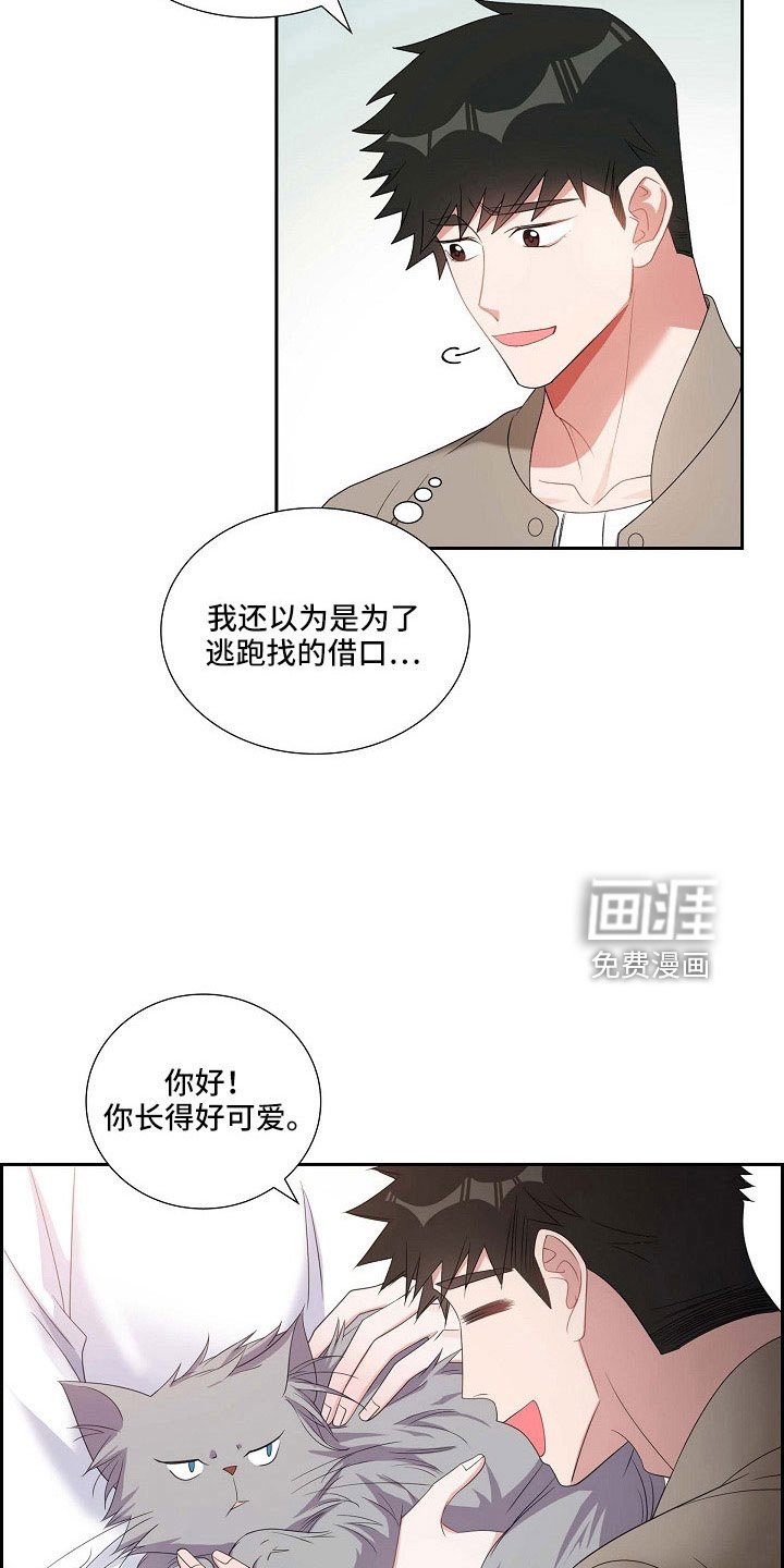 第63章：他的书