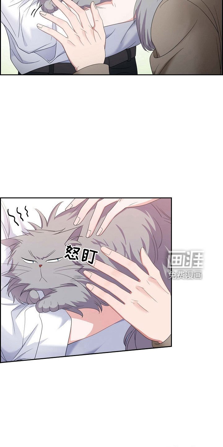 第63章：他的书