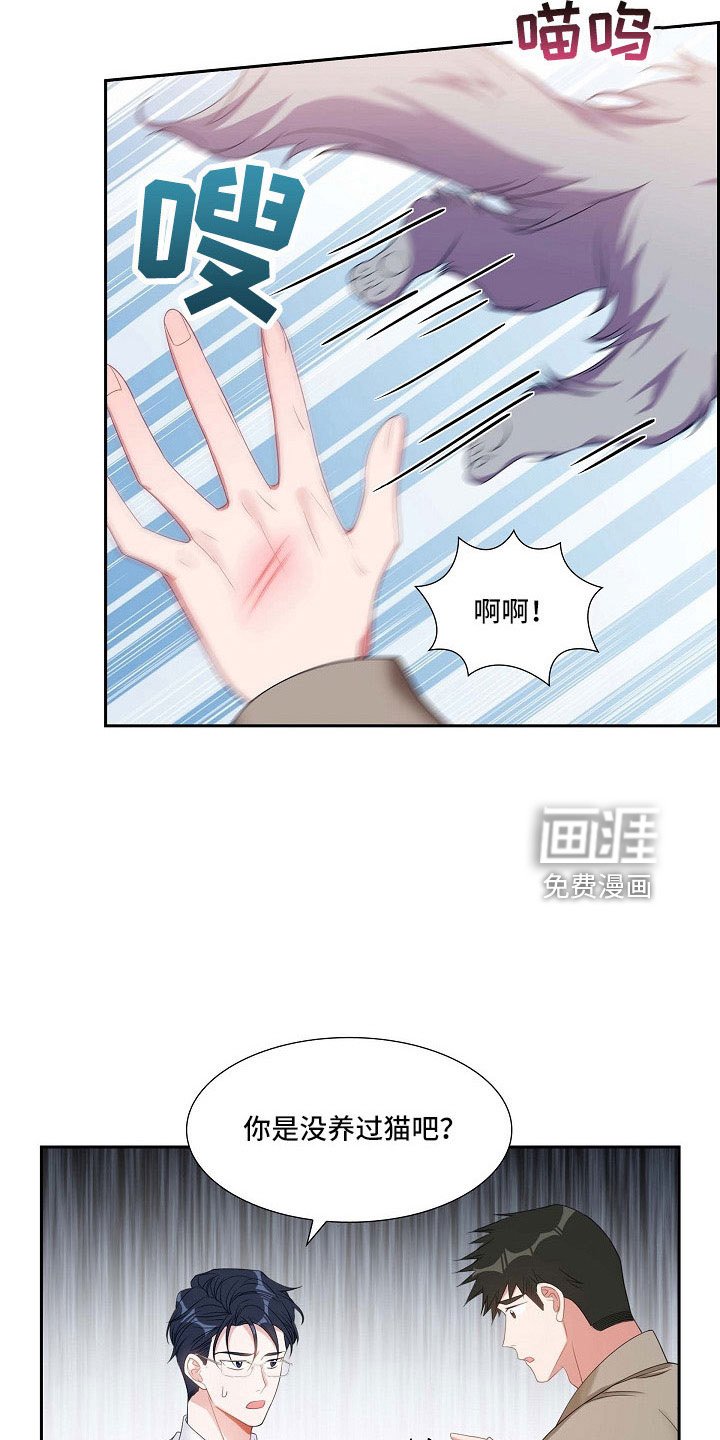 第63章：他的书