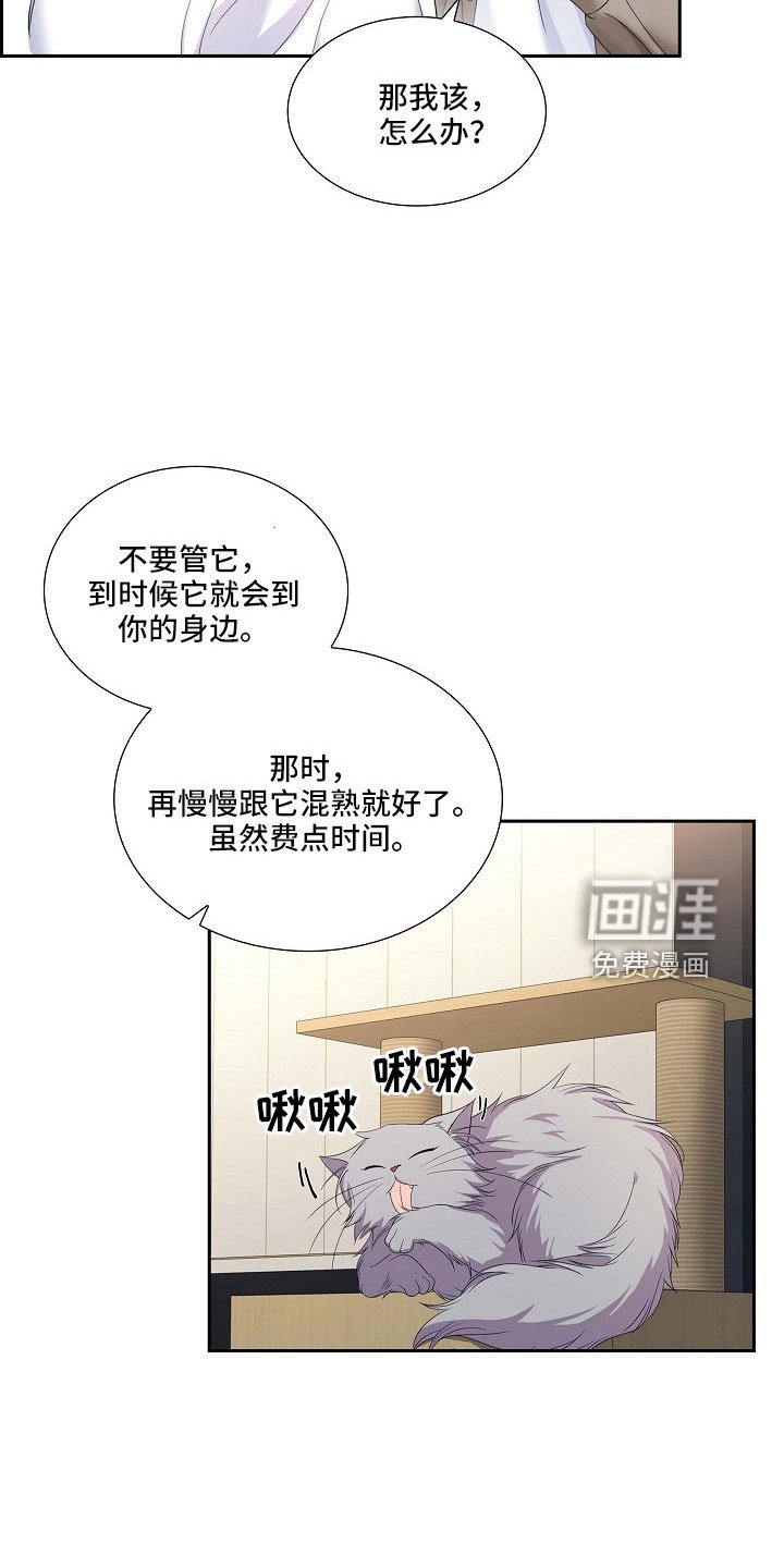 第63章：他的书