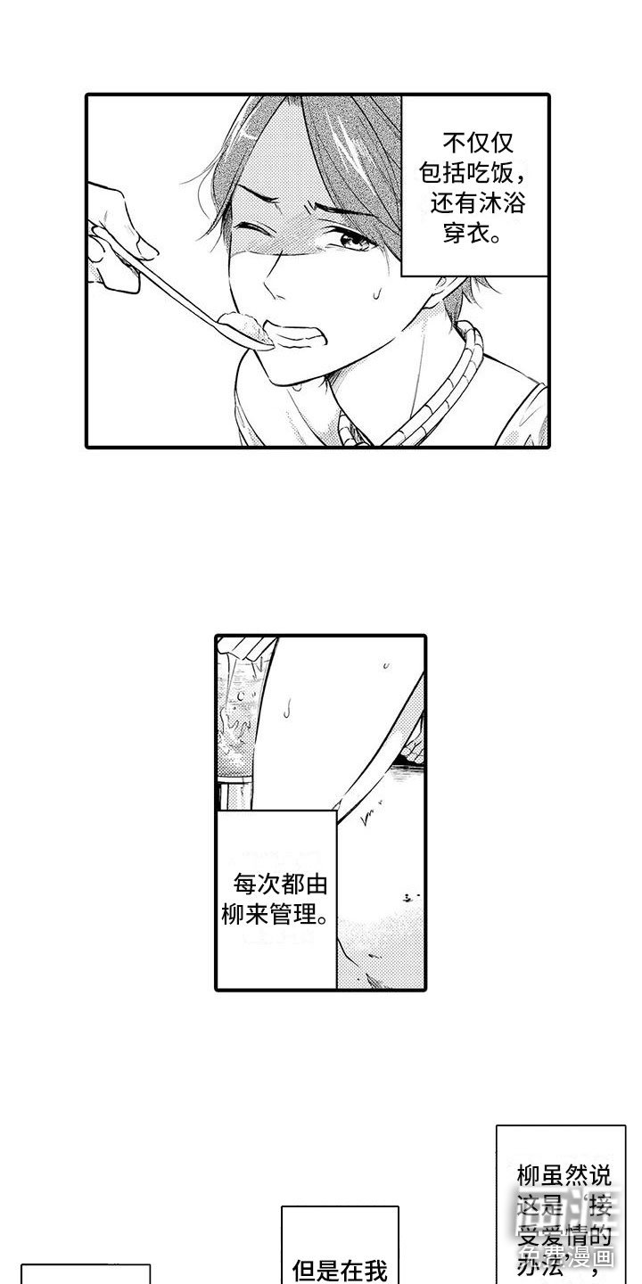 第6章：柳的“教育”