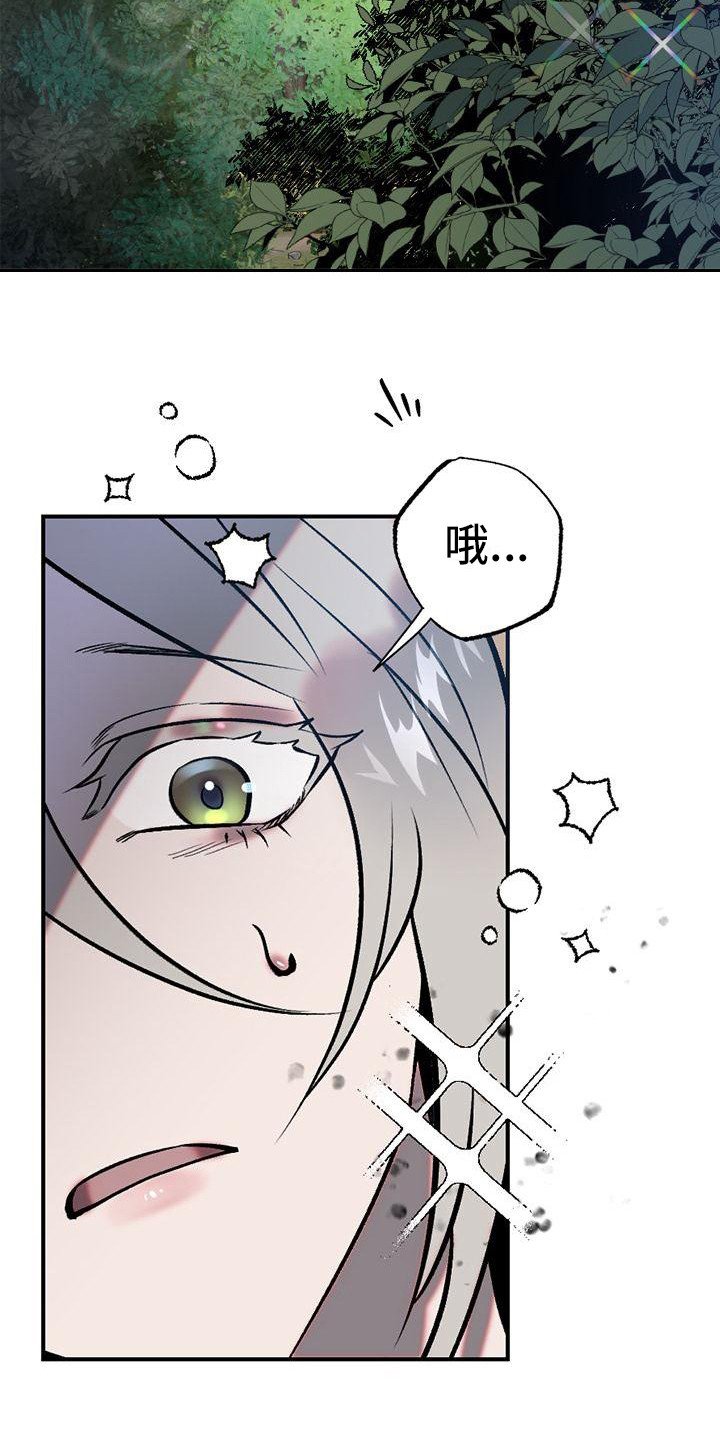 第1章：故事序章