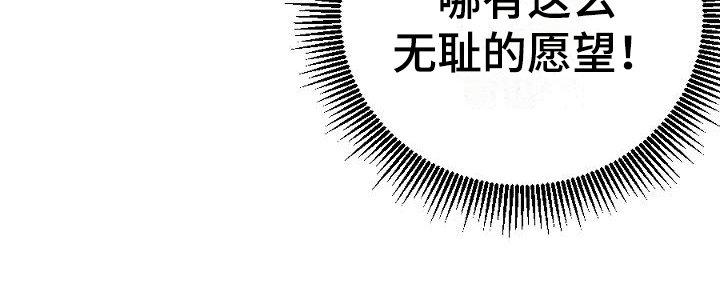 第15章：用什么报恩呢：愿望