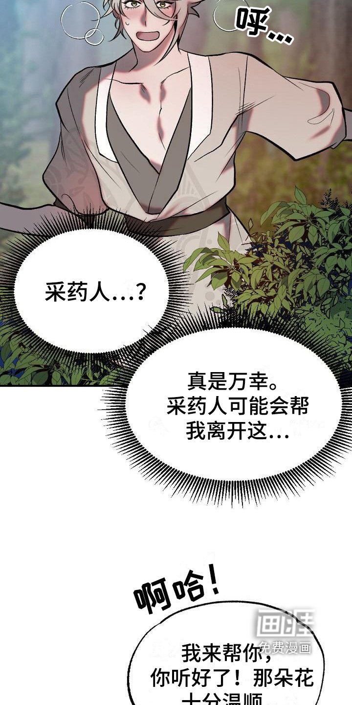 第17章：用什么报恩呢：死里逃生（完）