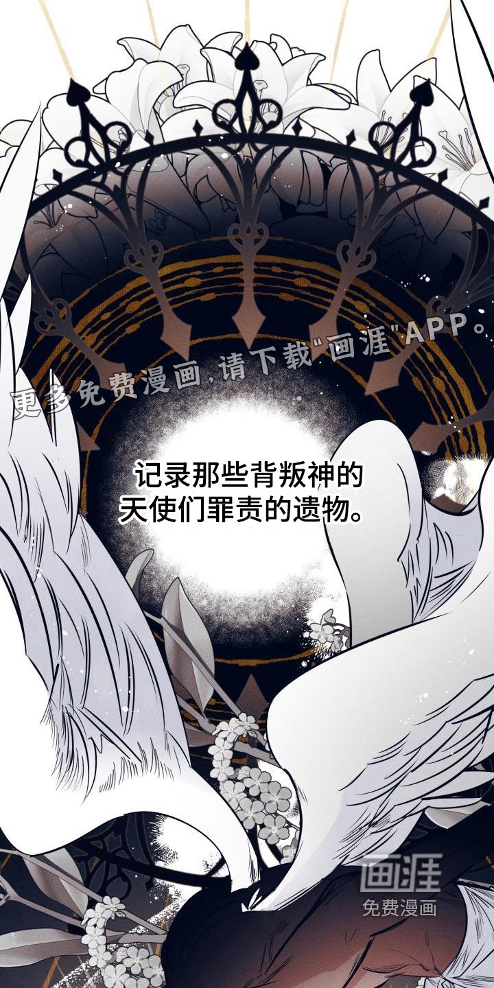 第18章：白衣恶魔：戒指