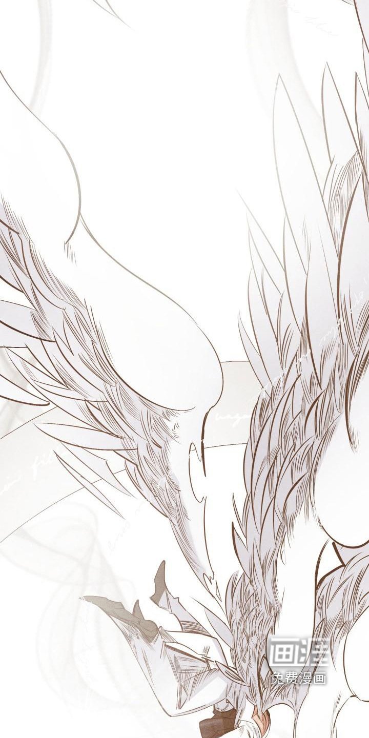 第22章：白衣恶魔：答案