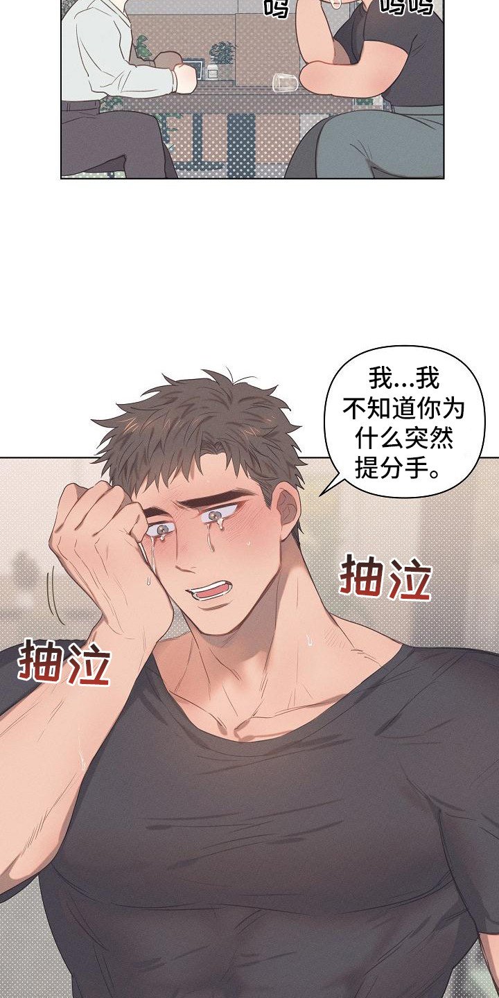 第3章：爱的泪滴：分手吧