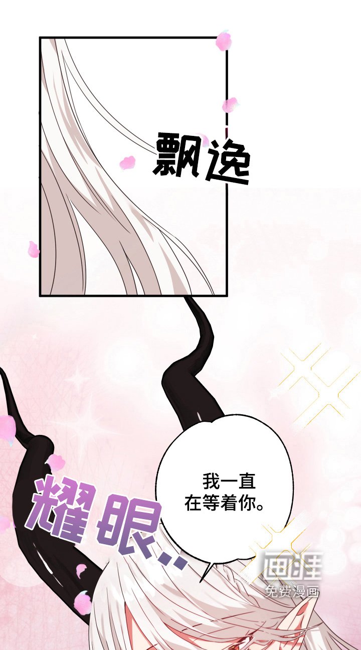 第37章：从胸口开始的骑士精神：美丽魔王