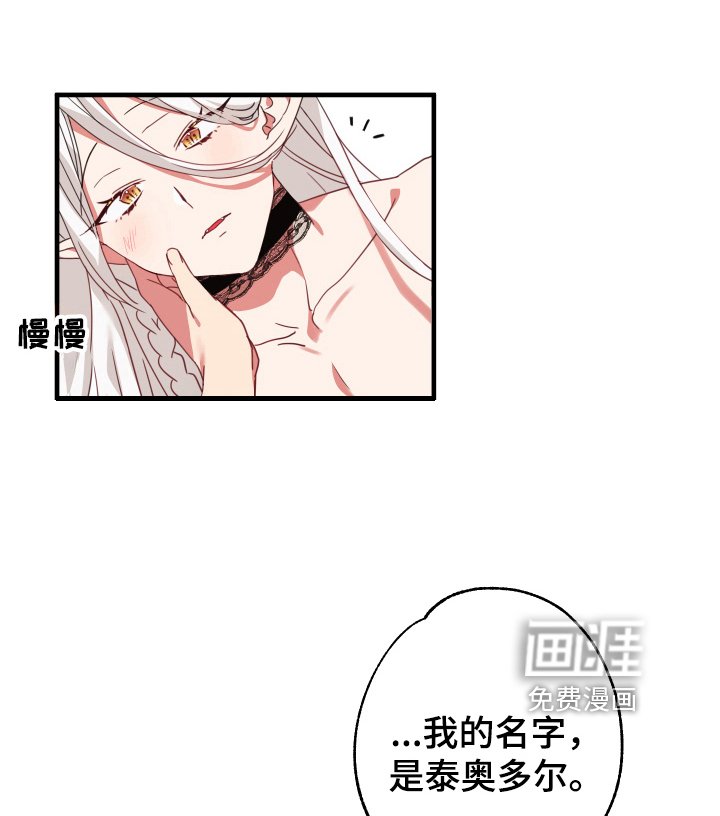 第39章：从胸口开始的骑士精神：名字