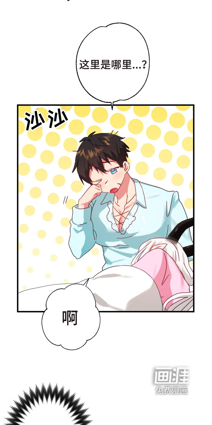第40章：从胸口开始的骑士精神：抽象画