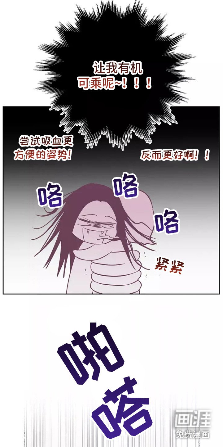 第12章：双胞胎