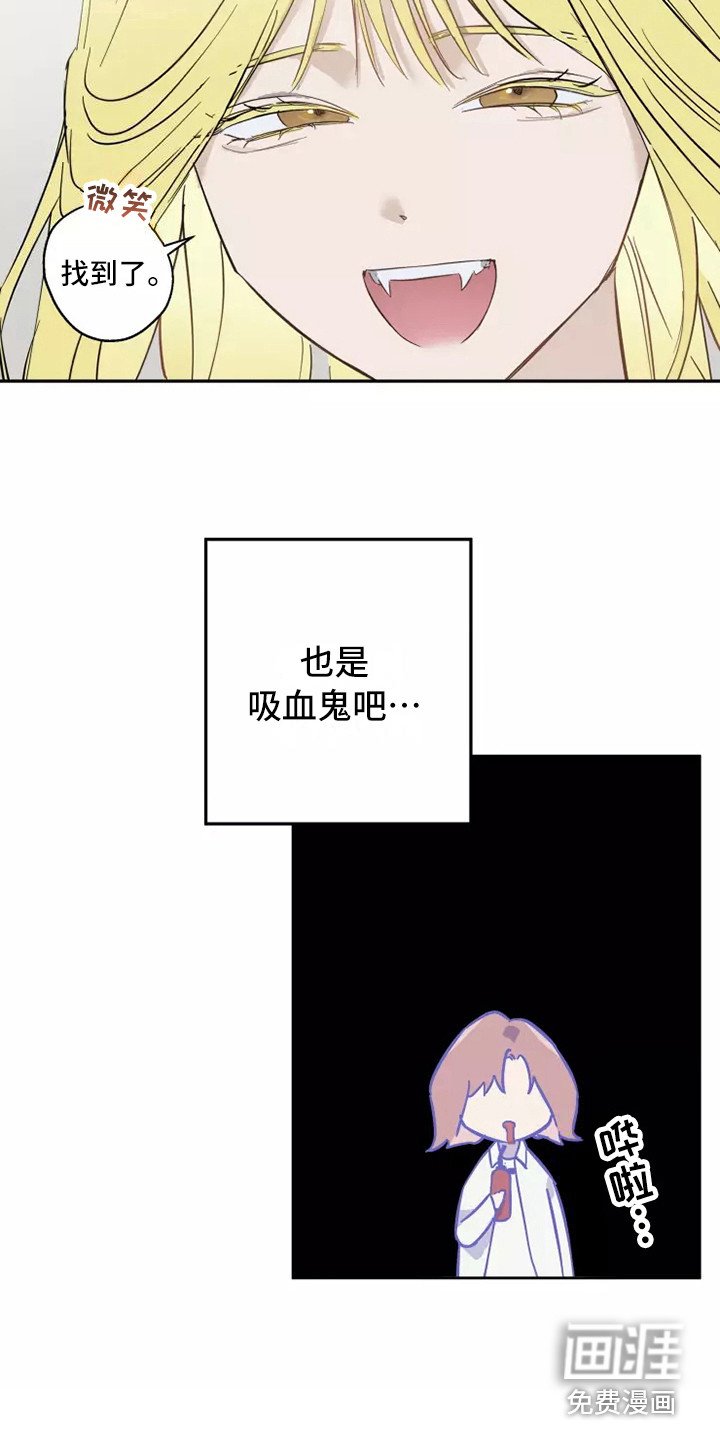 第12章：双胞胎