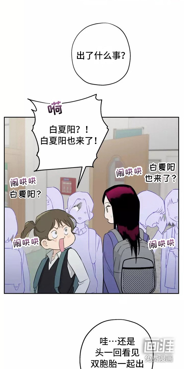 第13章：很耀眼