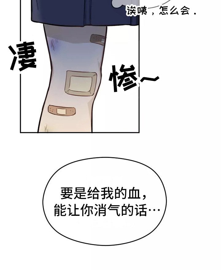 第4章：条件