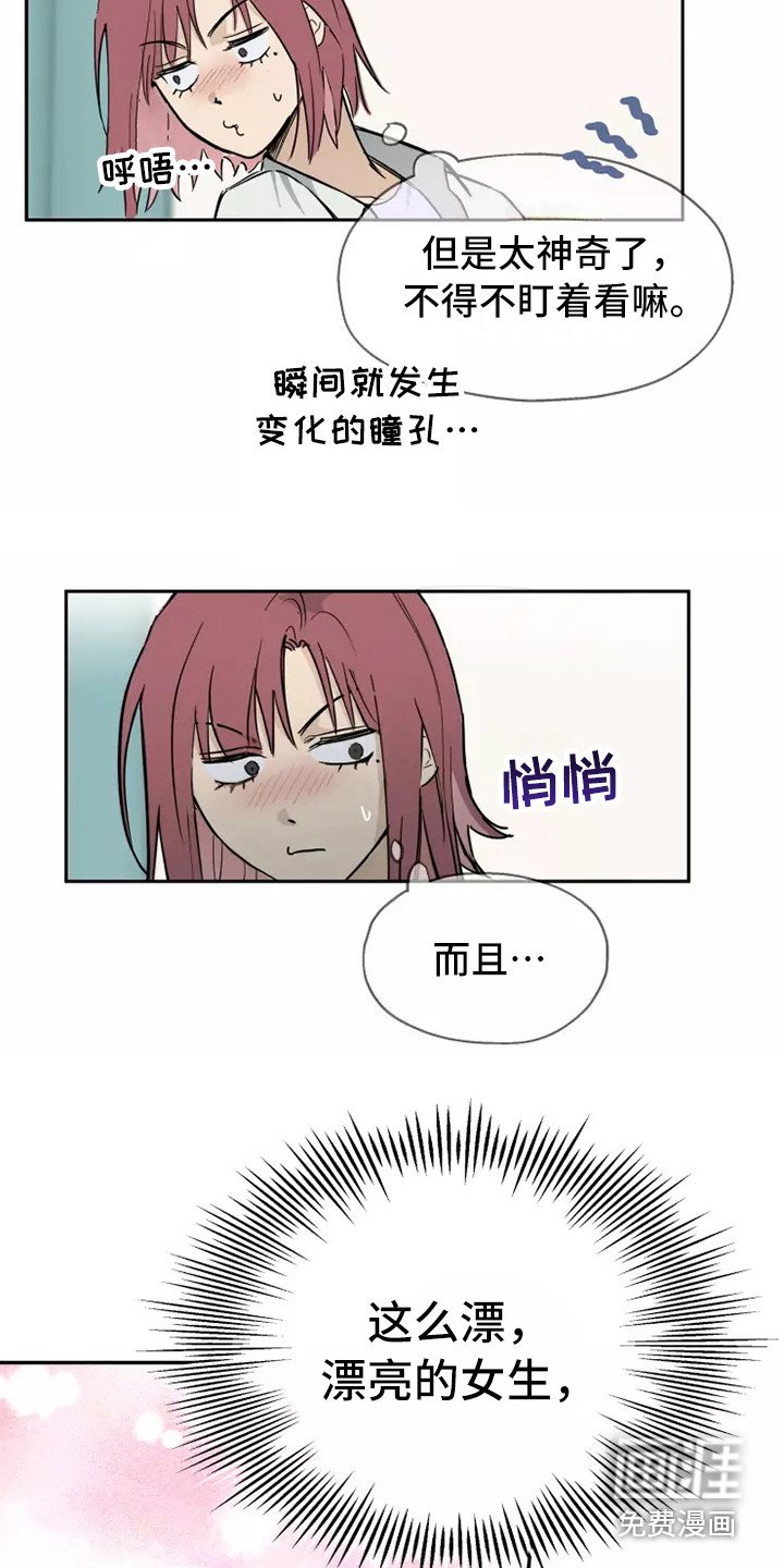 第5章：看呆了