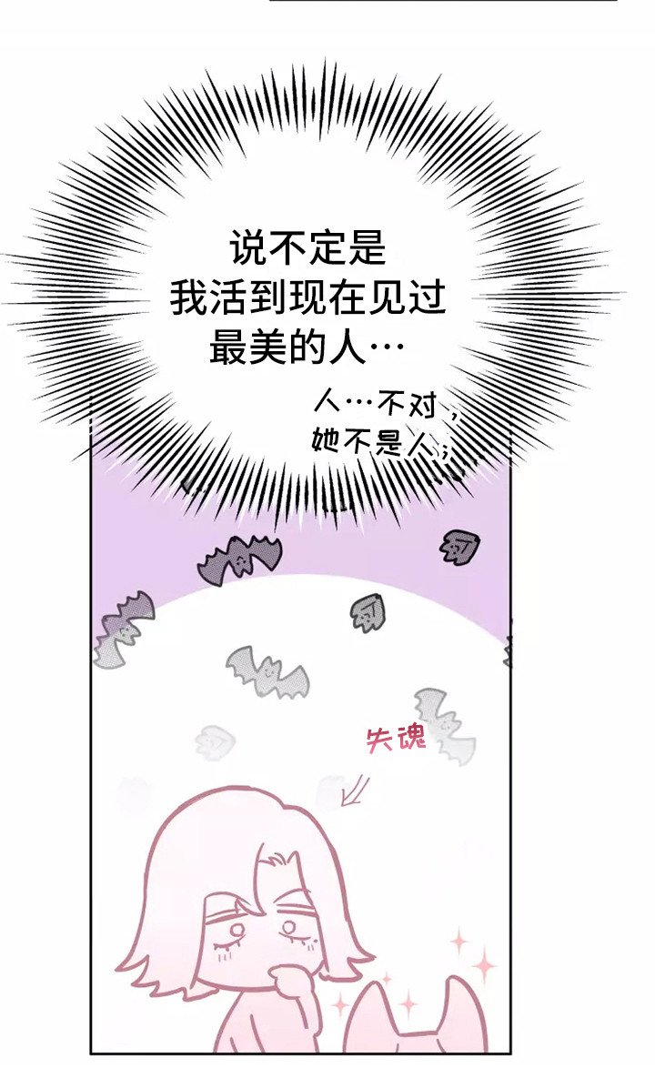第5章：看呆了